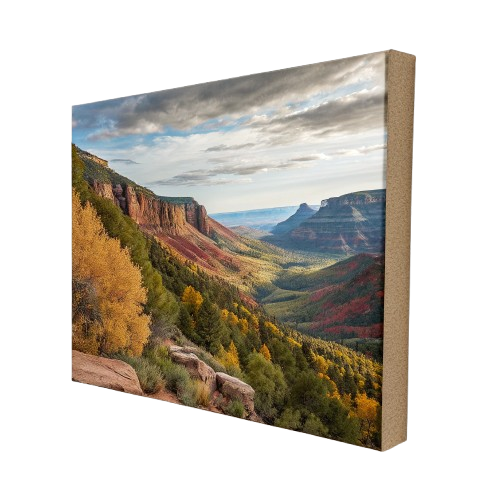 Ready-to-Paint Canvas